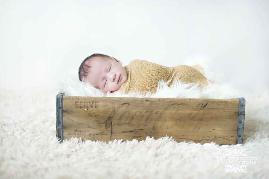 0004carson san diego newborn photographer bethann greenberg photography rancho sante fe family portraits children photography