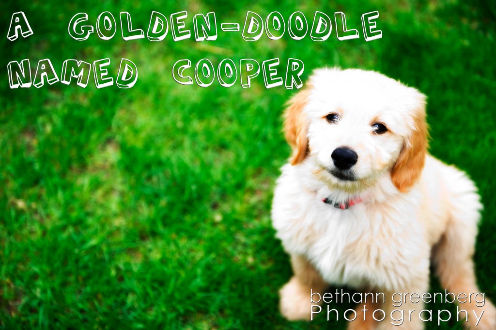 001cooper