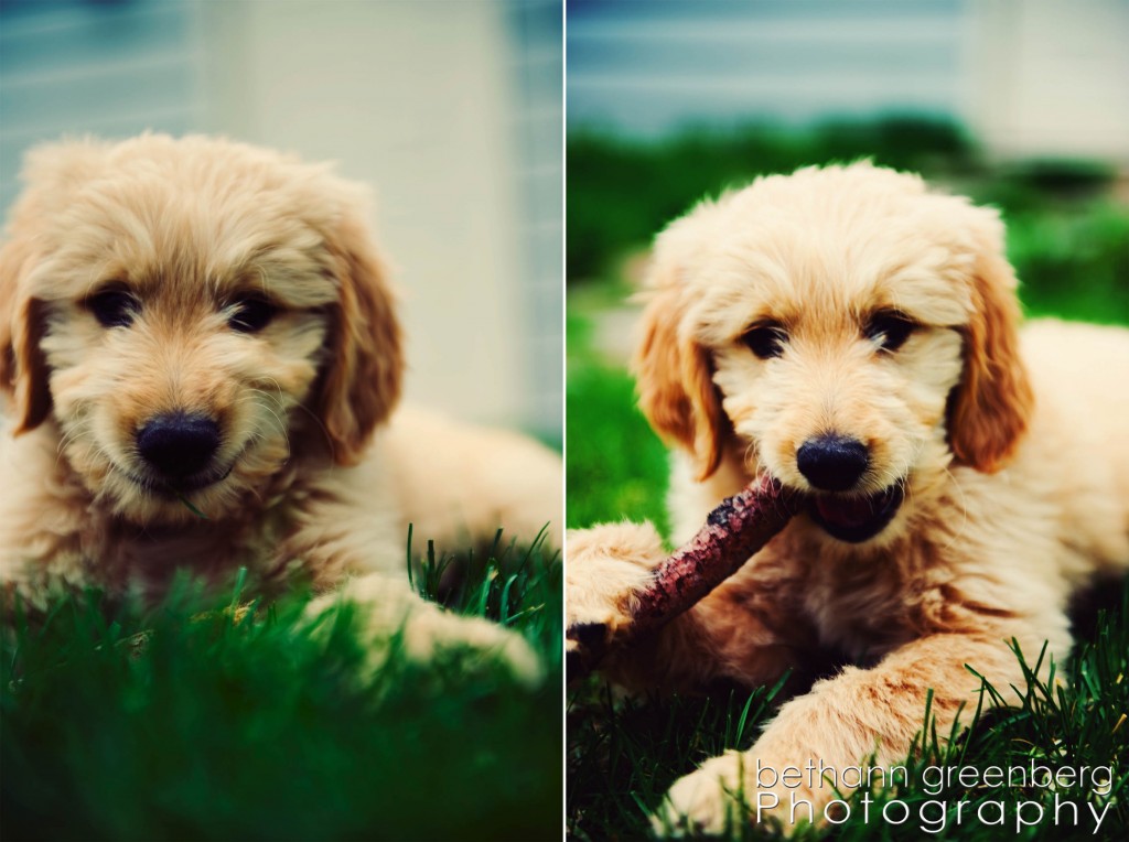 005cooper