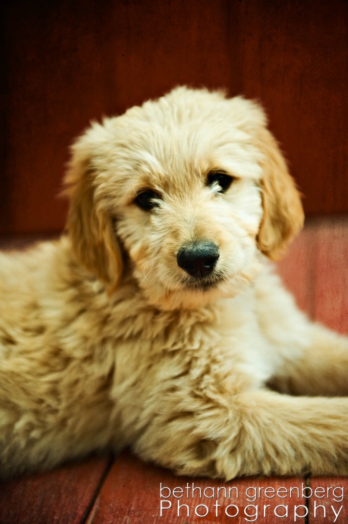 008cooper