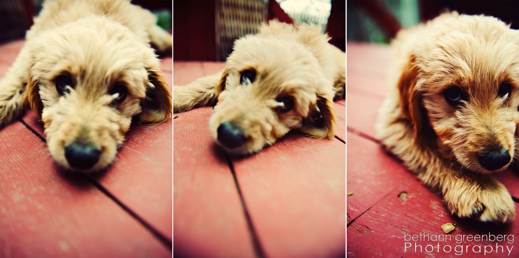 010cooper