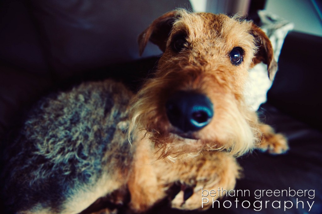 003Riley Blog