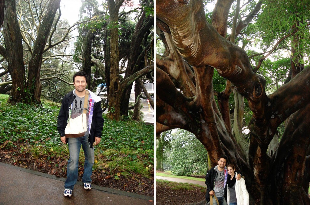 001AucklandBlog