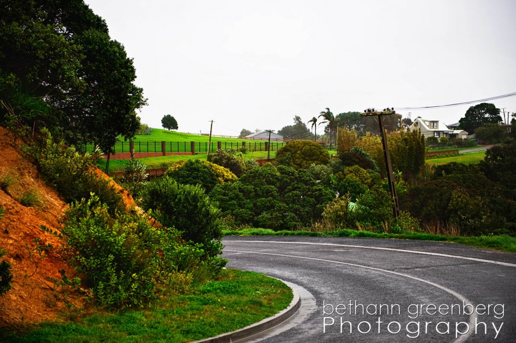 004AucklandBlog